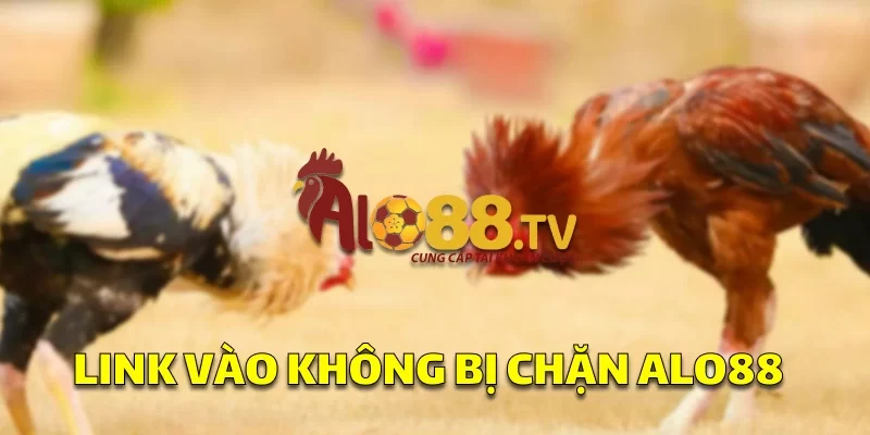 Link Vào SV388: Cổng Truy Cập Cá Cược Không Thể Bỏ Qua! 1 Link vào sv388 không bị chặn ALO88