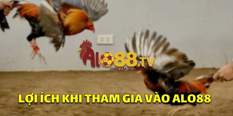Link Vào SV388: Cổng Truy Cập Cá Cược Không Thể Bỏ Qua! 2 Lợi ích khi tham gia vào ALO88