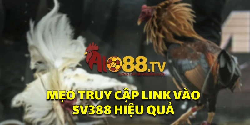 Link Vào SV388: Cổng Truy Cập Cá Cược Không Thể Bỏ Qua! 3 Mẹo truy cập vào link vào SV388 hiệu quả