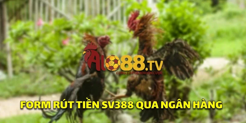 Rút Tiền SV388: Hướng Dẫn Nhanh Chóng Để Bạn Tham Gia! 2 Form rút tiền yêu cầu thông tin tài khoản ngân hàng và số tiền, đảm bảo giao dịch an toàn và minh bạch.