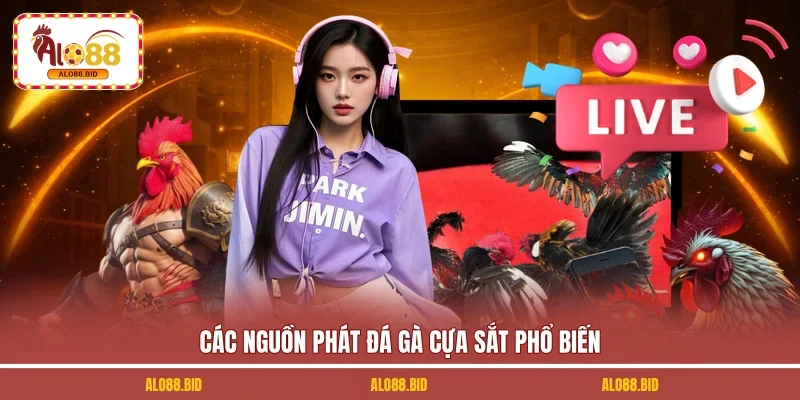 Gà Đá Cựa Sắt - Thử Sức Bộ Môn Chọi Kê Hấp Dẫn Tại ALO88 2 Các nguồn phát đá gà cựa sắt phổ biến