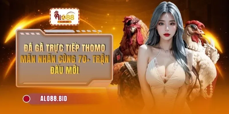 da ga truc tiep thomo
