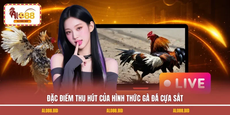 Gà Đá Cựa Sắt - Thử Sức Bộ Môn Chọi Kê Hấp Dẫn Tại ALO88 1 Đặc điểm thu hút của hình thức gà đá cựa sắt