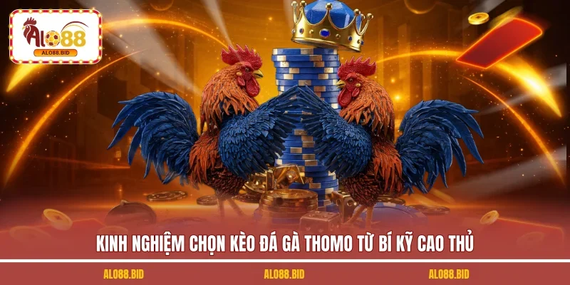 Kinh nghiệm chọn kèo đá gà thomo từ bí kỹ cao thủ