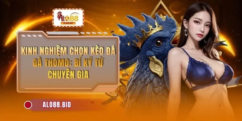 kinh nghiem chon keo da ga thomo