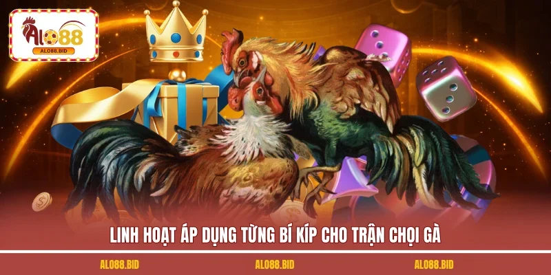 Mẹo Cá Cược Đá Gà Luôn Thắng | Kinh Nghiệm Thực Chiến 3 Linh hoạt áp dụng từng bí kíp cho trận chọi gà