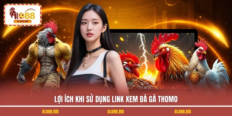 Link Xem Đá Gà Thomo Uy Tín, Không Bị Chặn Tại ALO88 1 Lợi ích khi sử dụng link xem đá gà Thomo