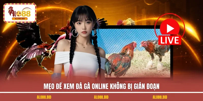 Mẹo để xem đá gà online không bị gián đoạn