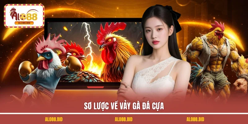 Vảy Gà Đá Cựa ALO88 | Bật Mí Bí Kíp Chọn Kê Chuẩn Nhất 2026 1 Sơ lược về vảy gà đá cựa