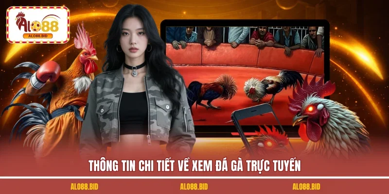 Thông tin chi tiết về xem đá gà trực tuyến