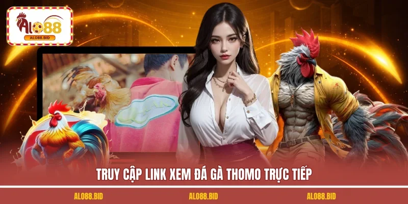 Link Xem Đá Gà Thomo Uy Tín, Không Bị Chặn Tại ALO88 2 Truy cập link xem đá gà Thomo trực tiếp