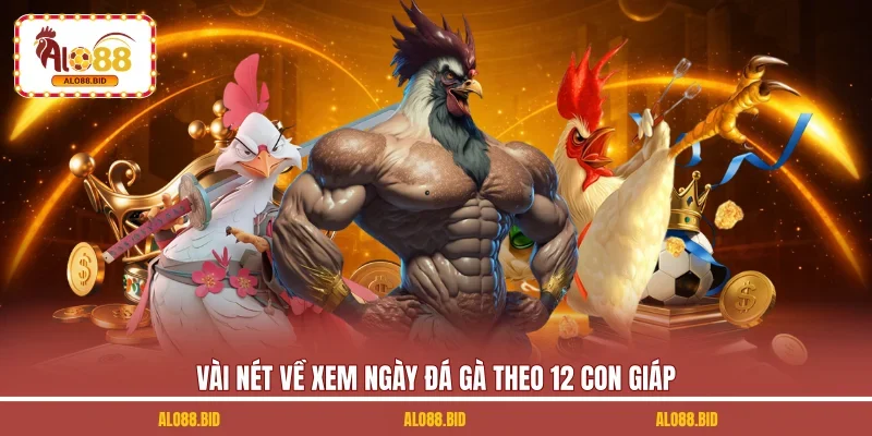 Xem Ngày Đá Gà Theo 12 Con Giáp | 4 Bí Quyết Giúp Chọn Lọc 1 Vài nét về xem ngày đá gà theo 12 con giáp
