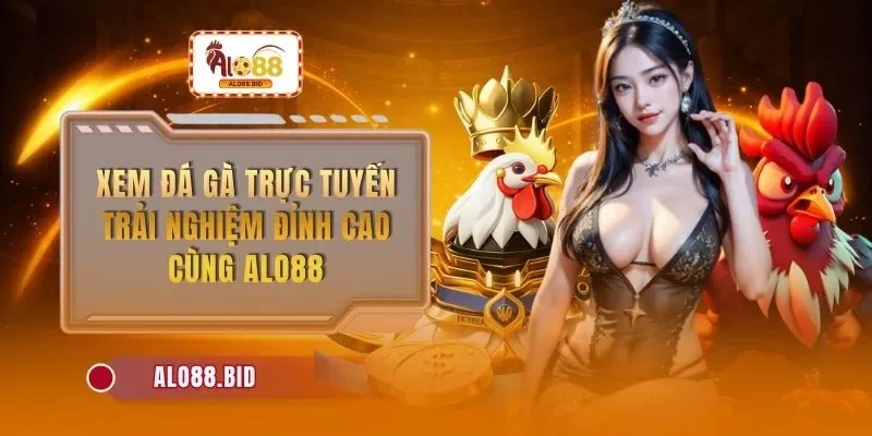 xem da ga truc tuyen
